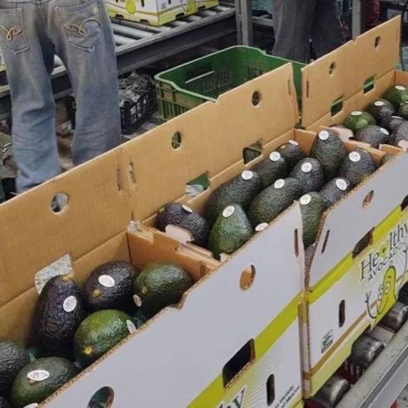 Boxes of avocados
